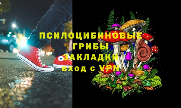 прущий лед Аркадак