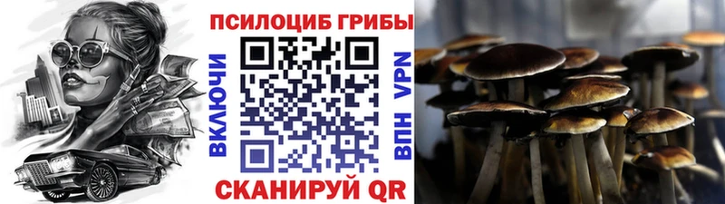 Псилоцибиновые грибы прущие грибы  Константиновск 